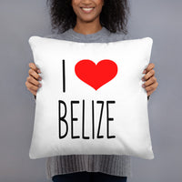 I Love BELIZE Basic Pillow