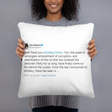 Tulsi Gabbard Roast Hillary Clinton Tweet Basic Pillow