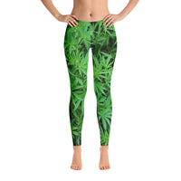 Marijuana Plants All Over Print Leggings / Yoga Pants
