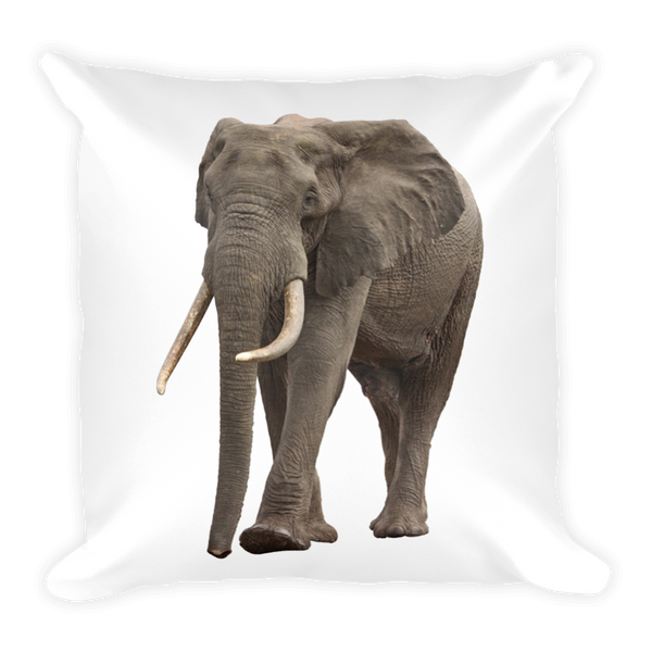 Wild Elephant With Tusks - Square Pillow